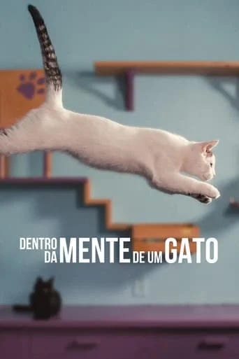 Dentro da Mente de um Gato Dentro da Mente de um Gato